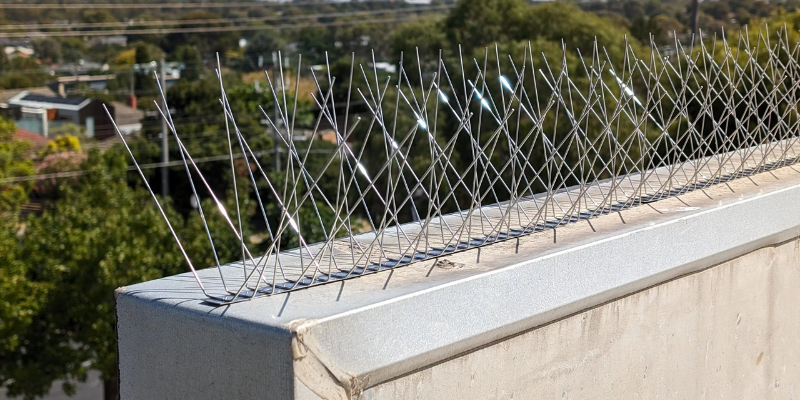 Bird spikes installation project